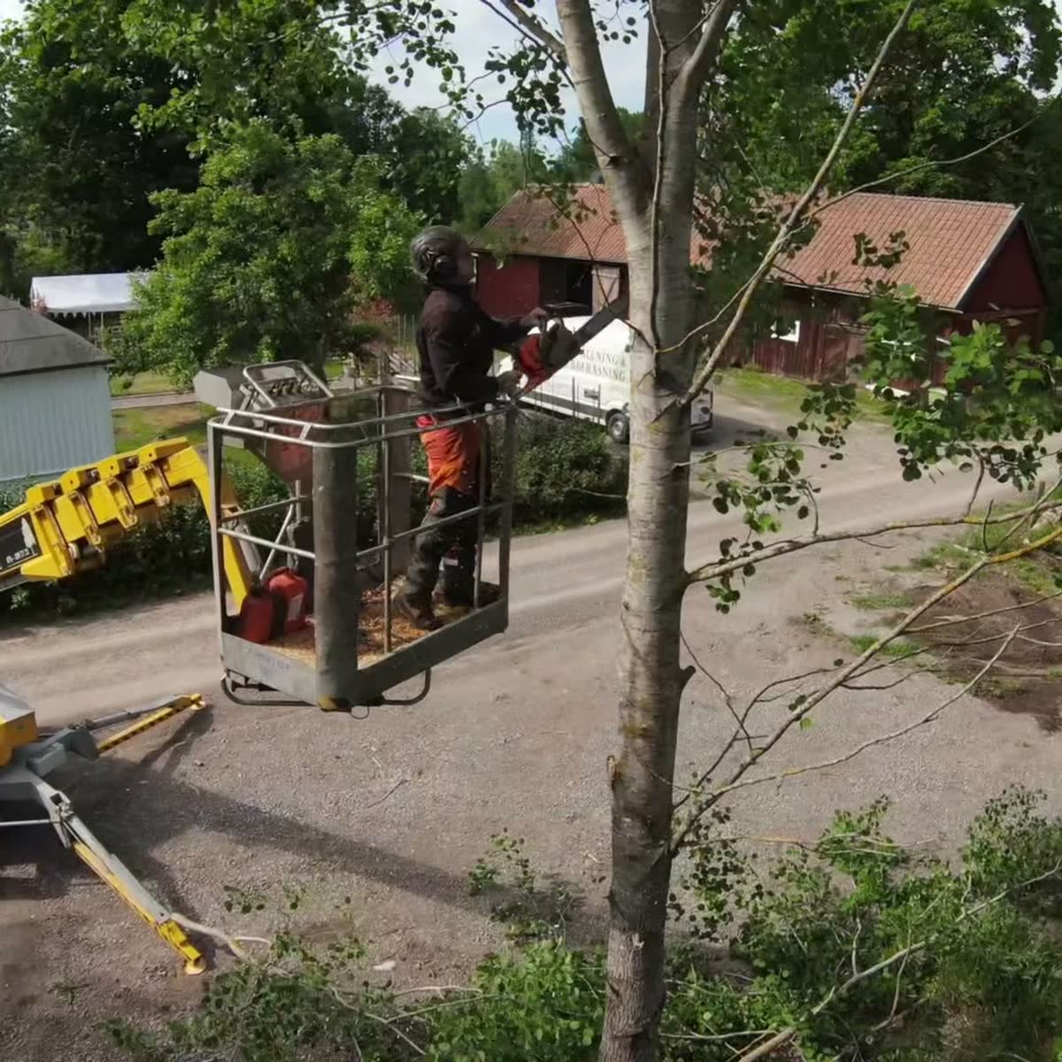 Arborist i skylift beskär en björk vid en gård utanför Nybro.