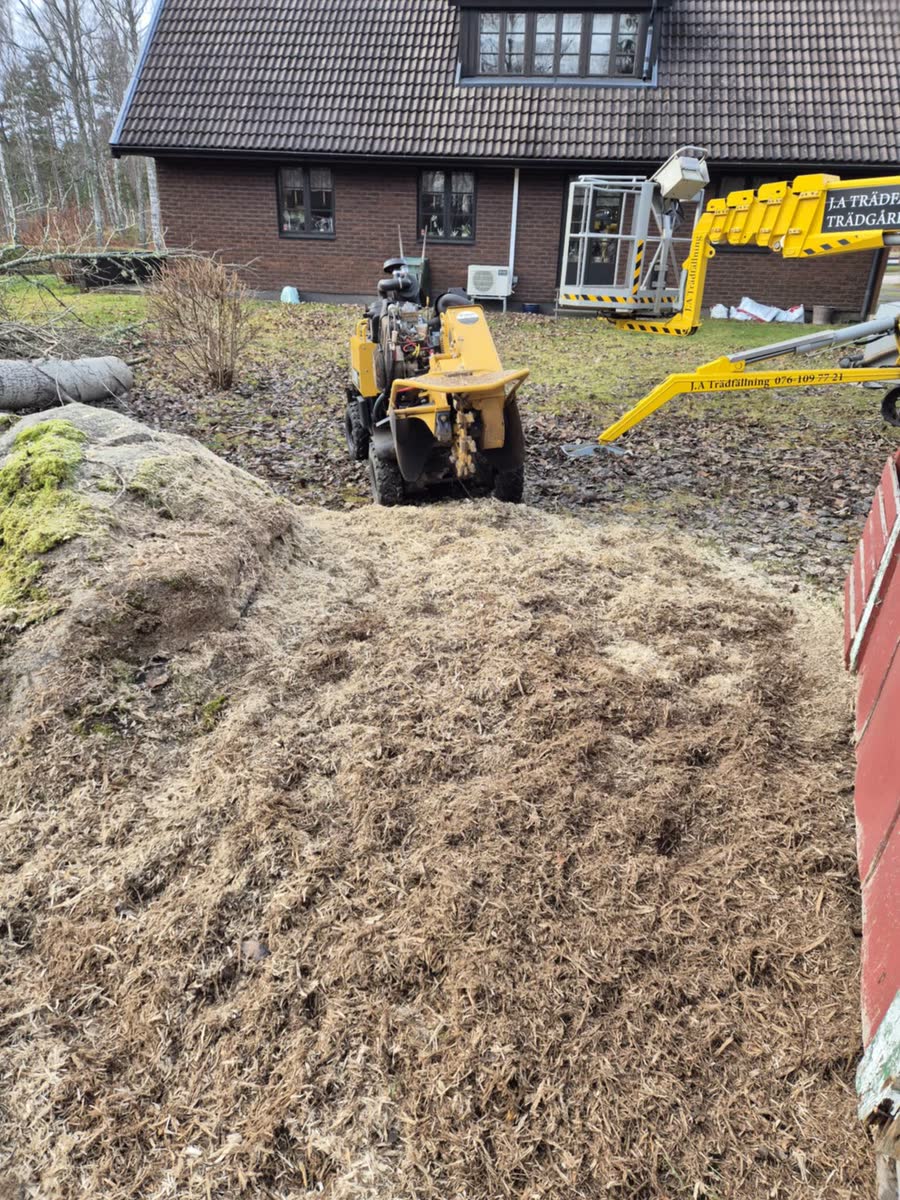 Stubbfräs vid en stor hög flis efter avslutad stubbfräsning intill ett bostadshus.
