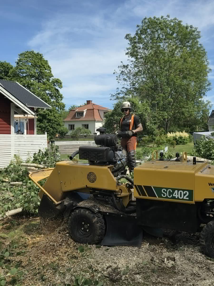 Arborist i hjälm och full skyddsutrustning vid stubbfräsen i en villaträdgård.