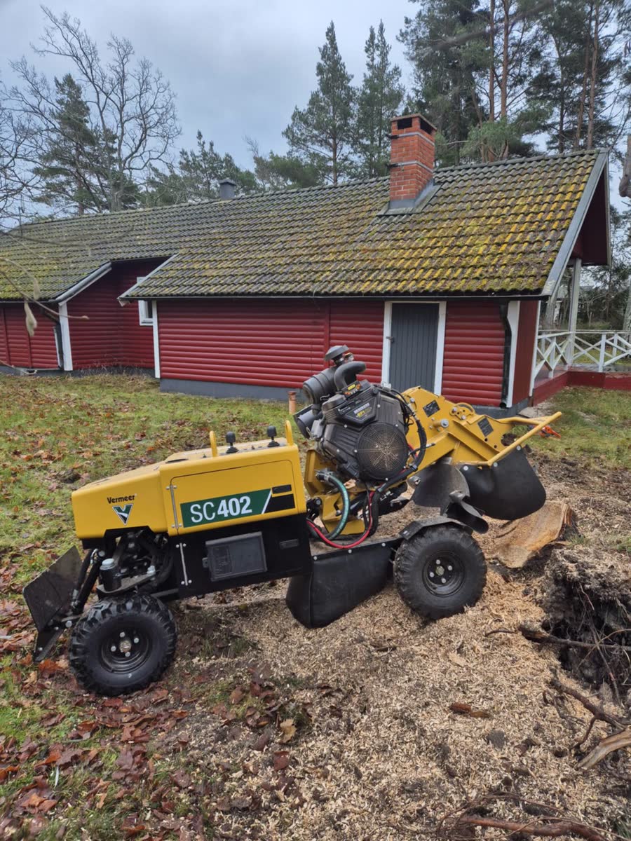 Gul stubbfräs SC402 vid en nyfräst stubbe framför ett rött trähus.